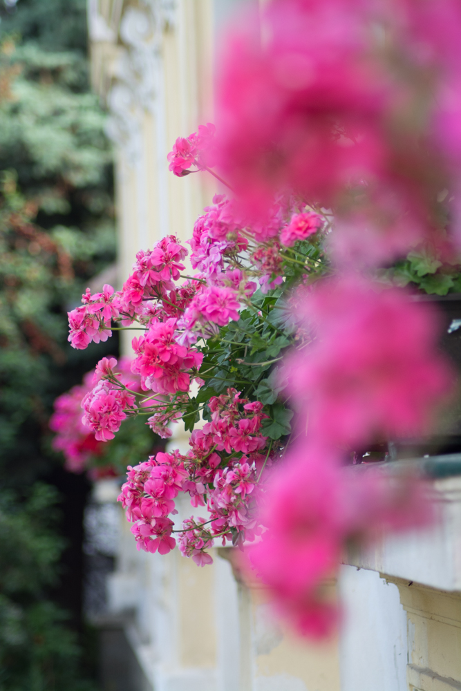 Blumendekoration vor dem Haus